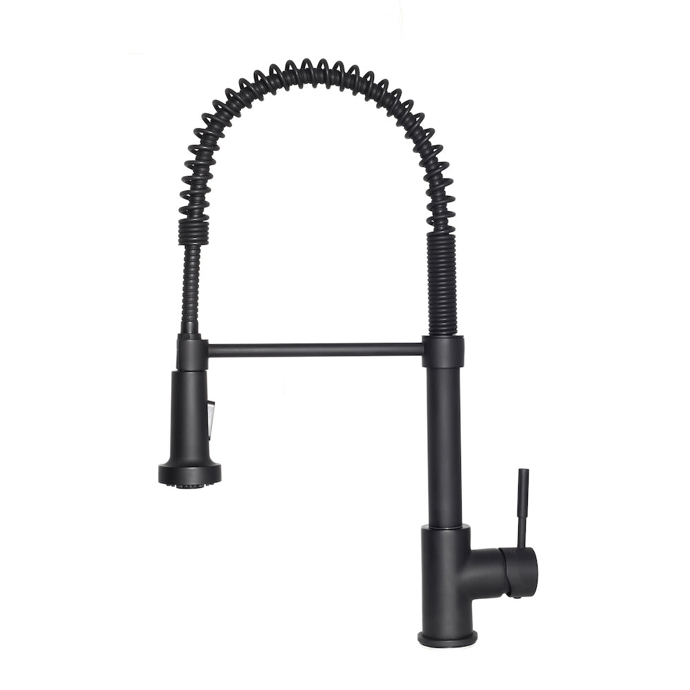 Z-line Bathroom Faucets model ALH-BF-PG