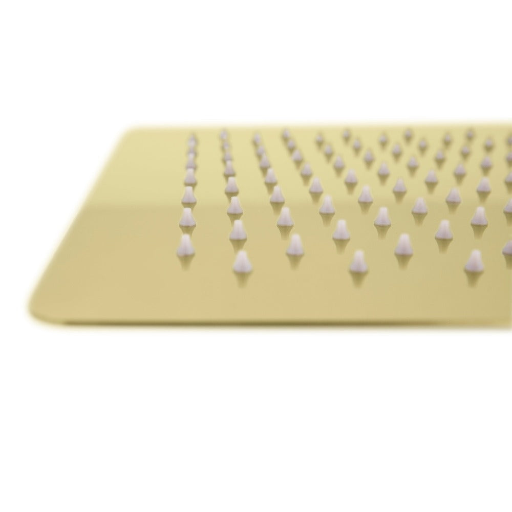 Z-line Shower Heads model BLS-H12-PG