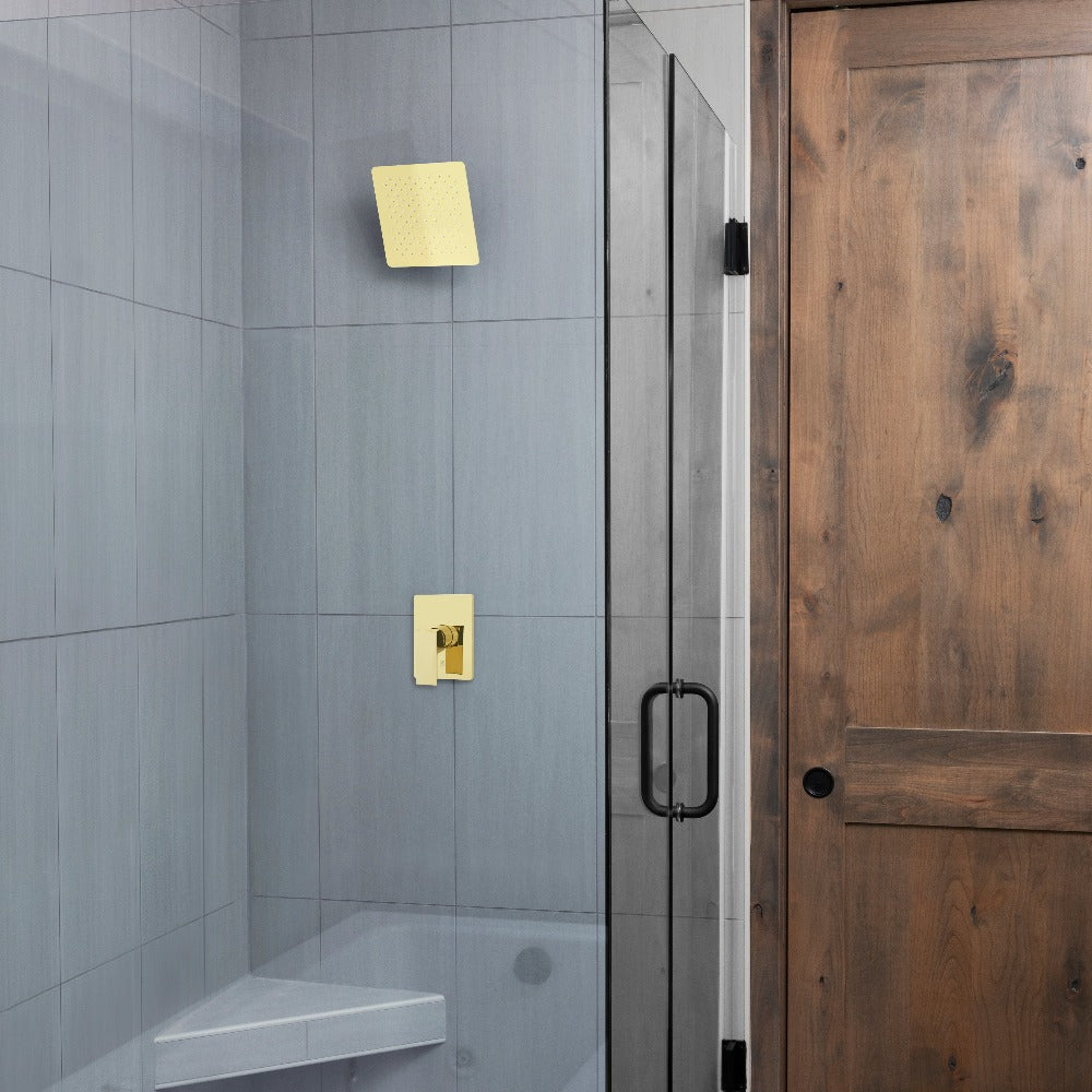 Z-line Shower Heads model BLS-H12-PG