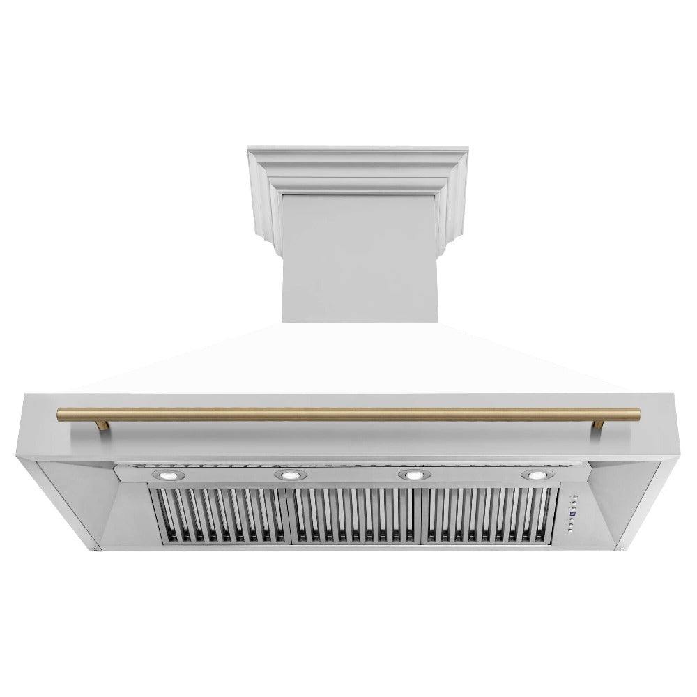 Z-line Range Hoods model 8654STZ-48-G