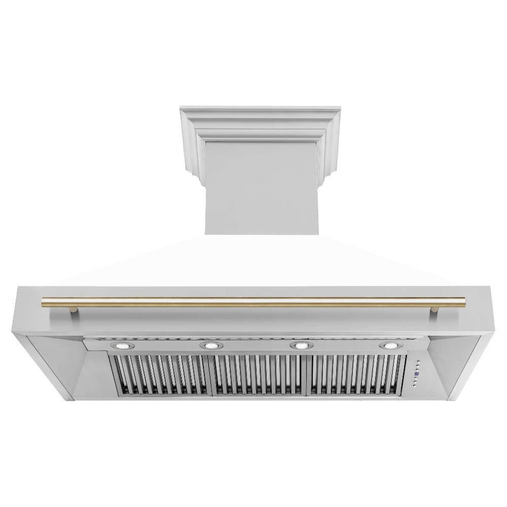 Z-line Range Hoods model 8654STZ-48-G