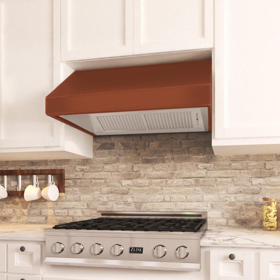 Z-line Range Hoods model 8667C-30