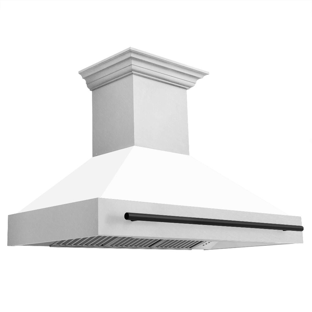 Z-line Range Hoods model 8654SNZ-48-G