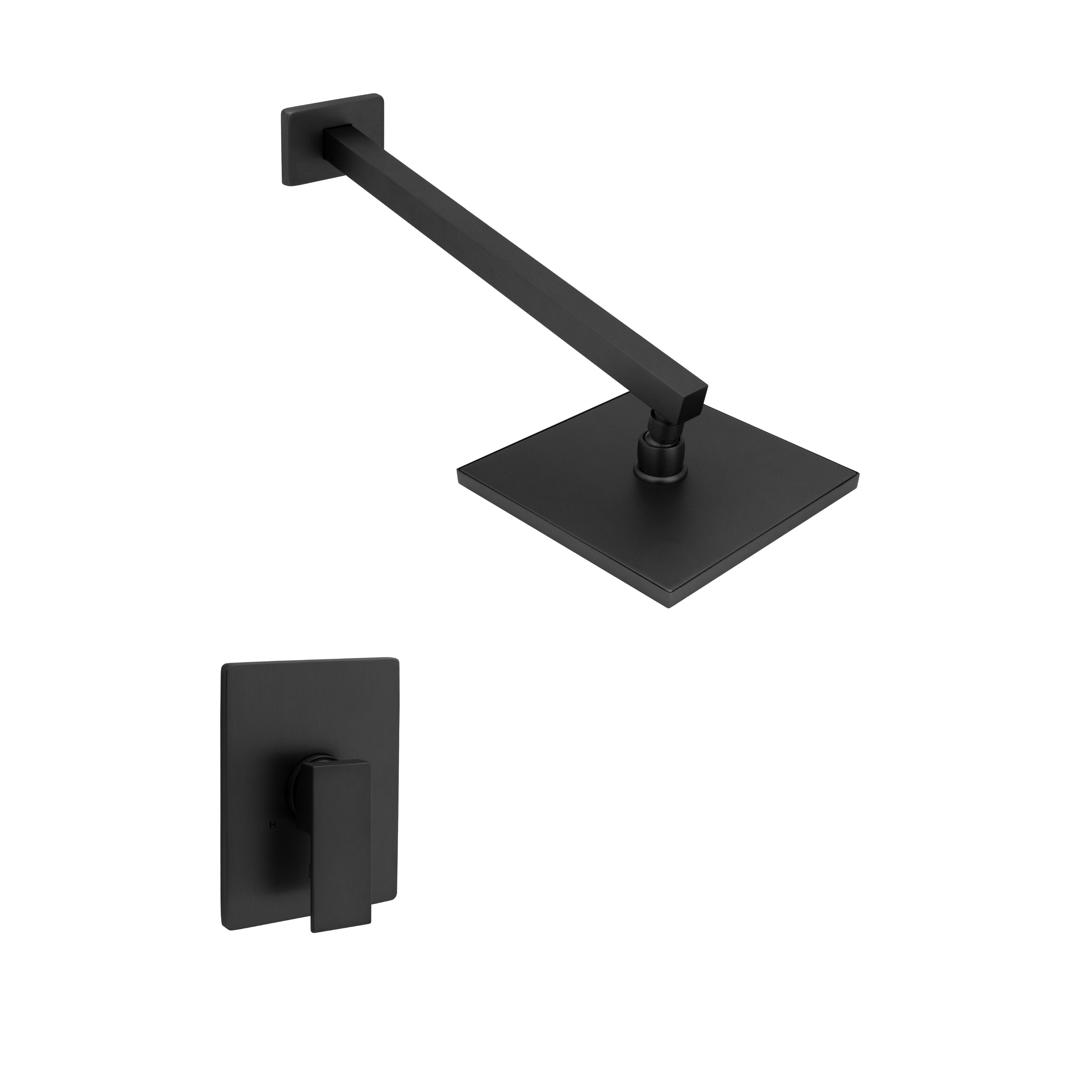 Z-line Shower Heads model BLS-H8-CH
